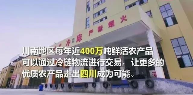 44.jpg