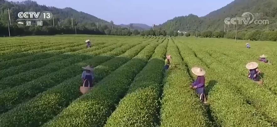 /ueditor_img/1648690434.jpg /ueditor_img/1648690434.jpg