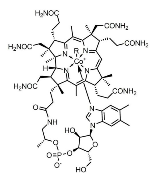 Vitamin-B12-Chemical-Structure-506x576.jpg