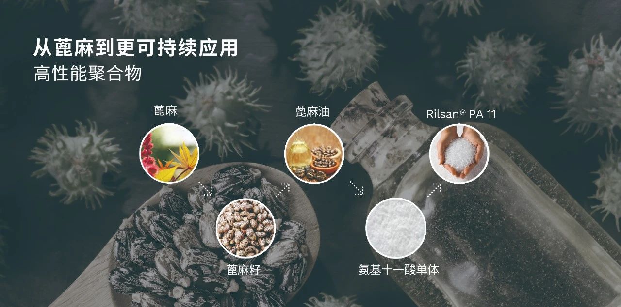 微信图片_20241224132246.jpg