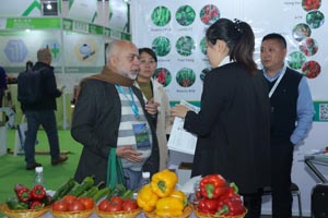 153A7008.jpg