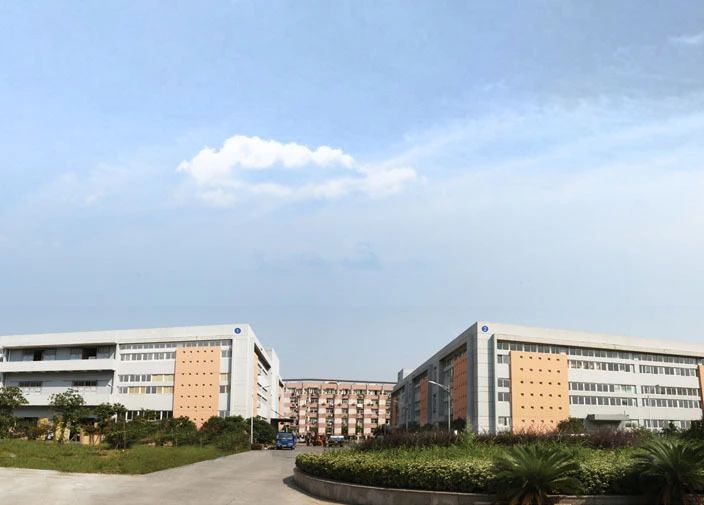 ueditor_img/1750645057.jpg