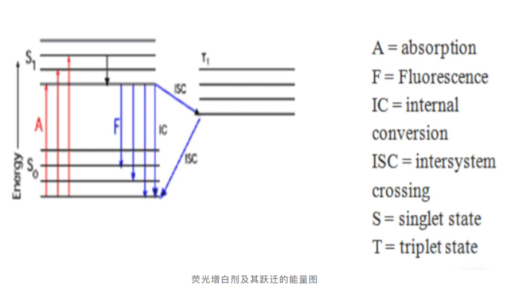 ueditor_img/1753841098.png
