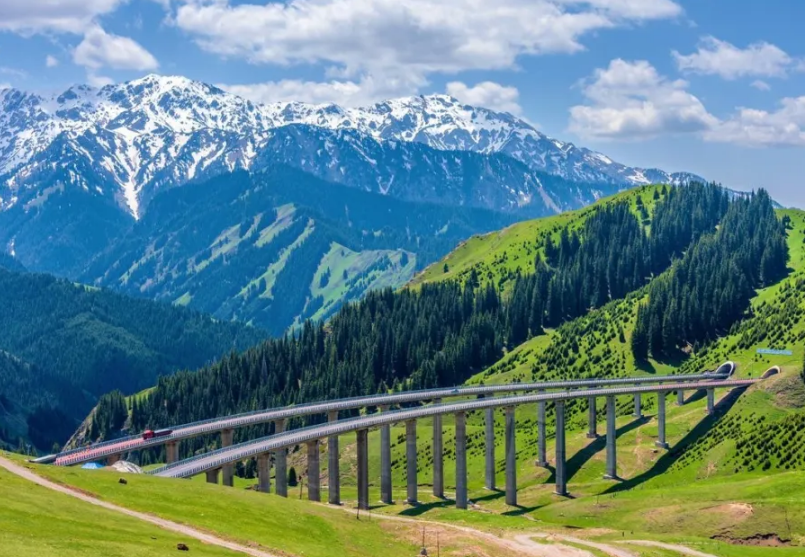 ueditor_img/1762392883.png image.png