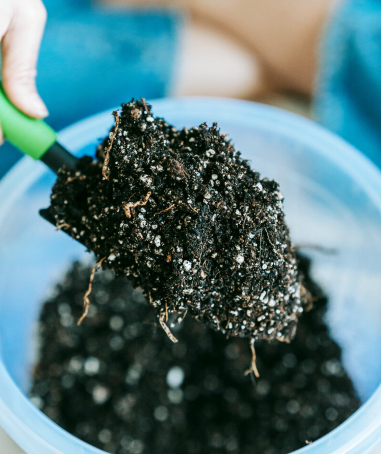 1761628587858699.png image.png