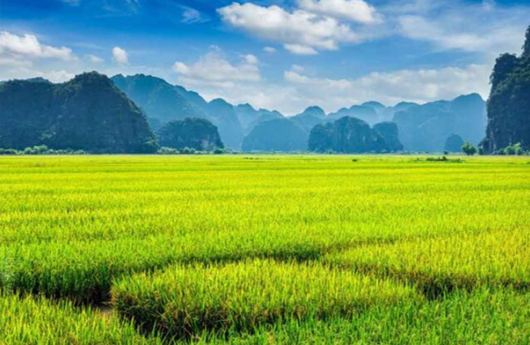 1761015774152633.png image.png