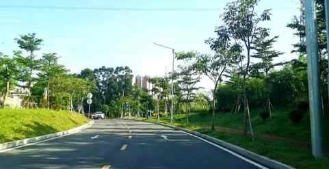 ueditor_img/1764292867.png image.png