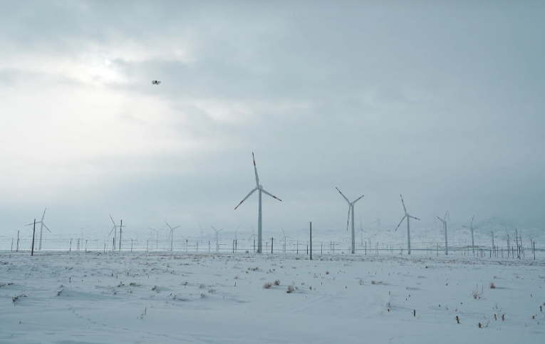 ueditor_img/1765250230.png image.png