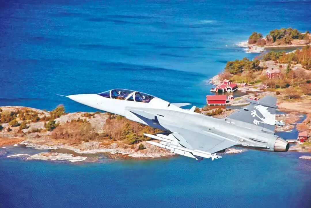 资料图:瑞典“鹰狮”战斗机(来源:中国国防报)