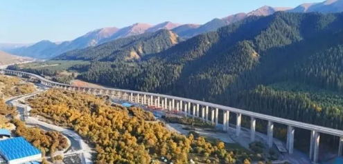 ueditor_img/1772259546.png image.png