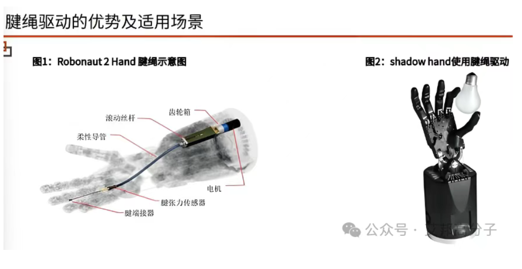 ueditor_img/1778833135.png