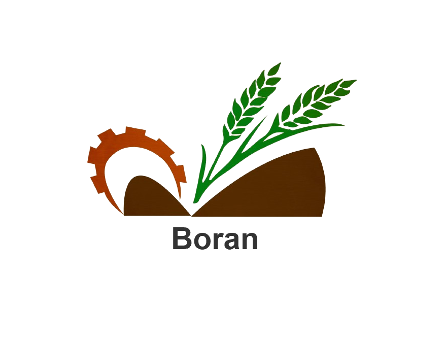 BORAN INTELLIGENT