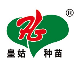 YIJIUXIANG SEED