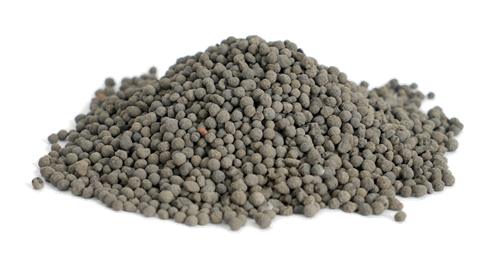 Exhibitor Image