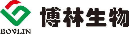 ueditor_img/1746849357.png