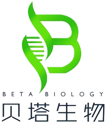 ueditor_img/1750121915.png 微信图片_20250604171553副本.png