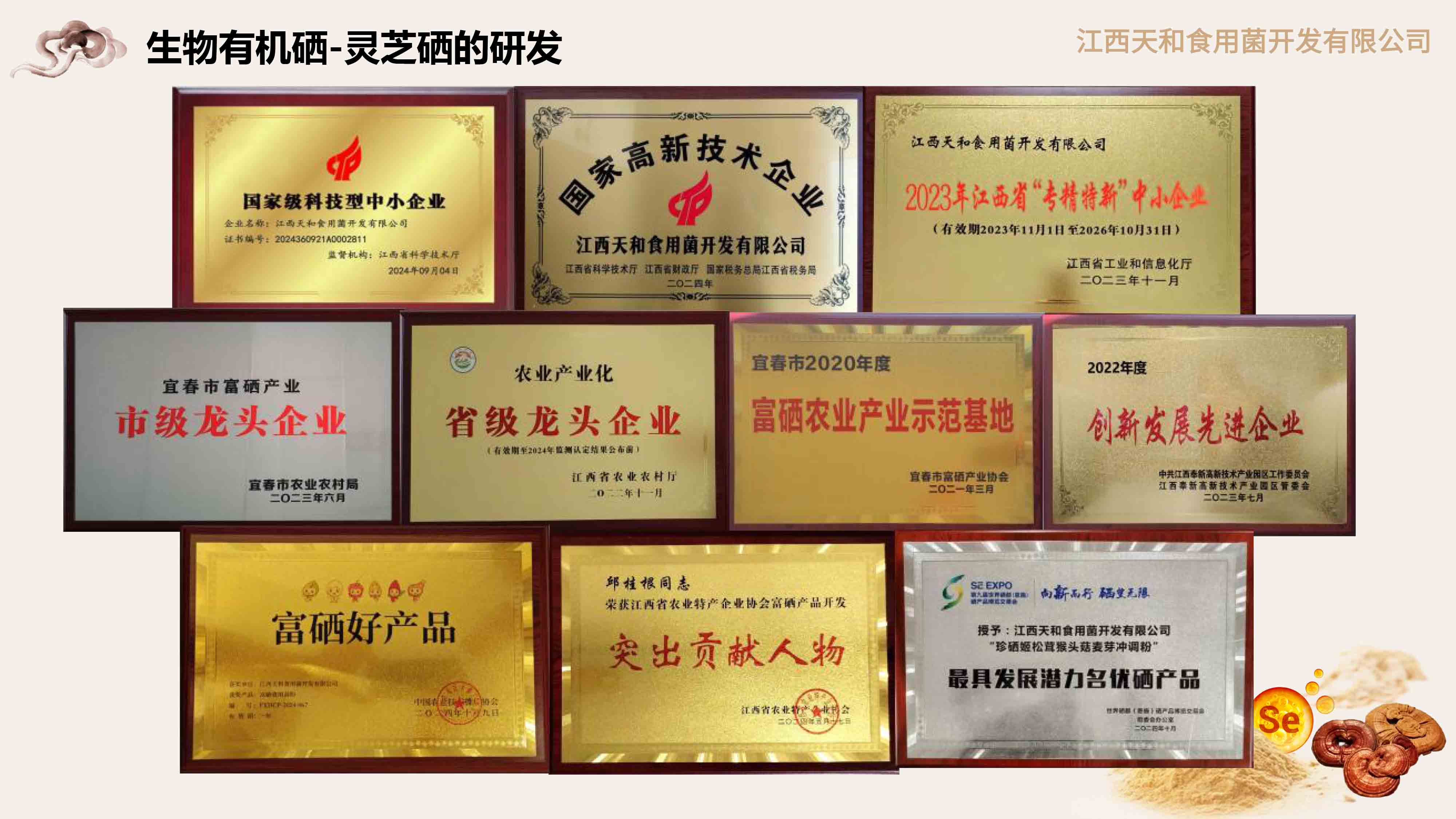 ueditor_img/1752562988.jpg