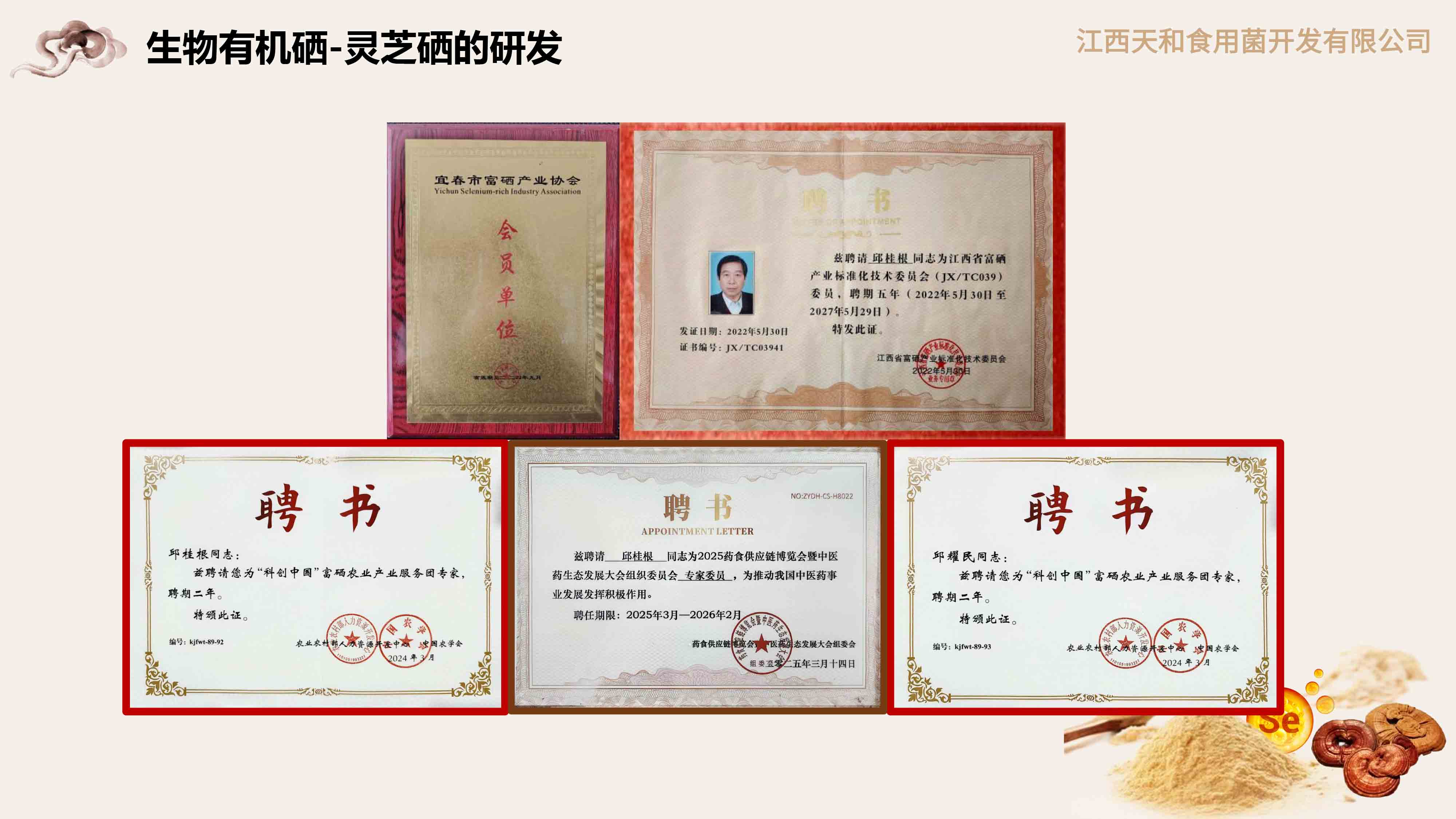 ueditor_img/1752563086.jpg