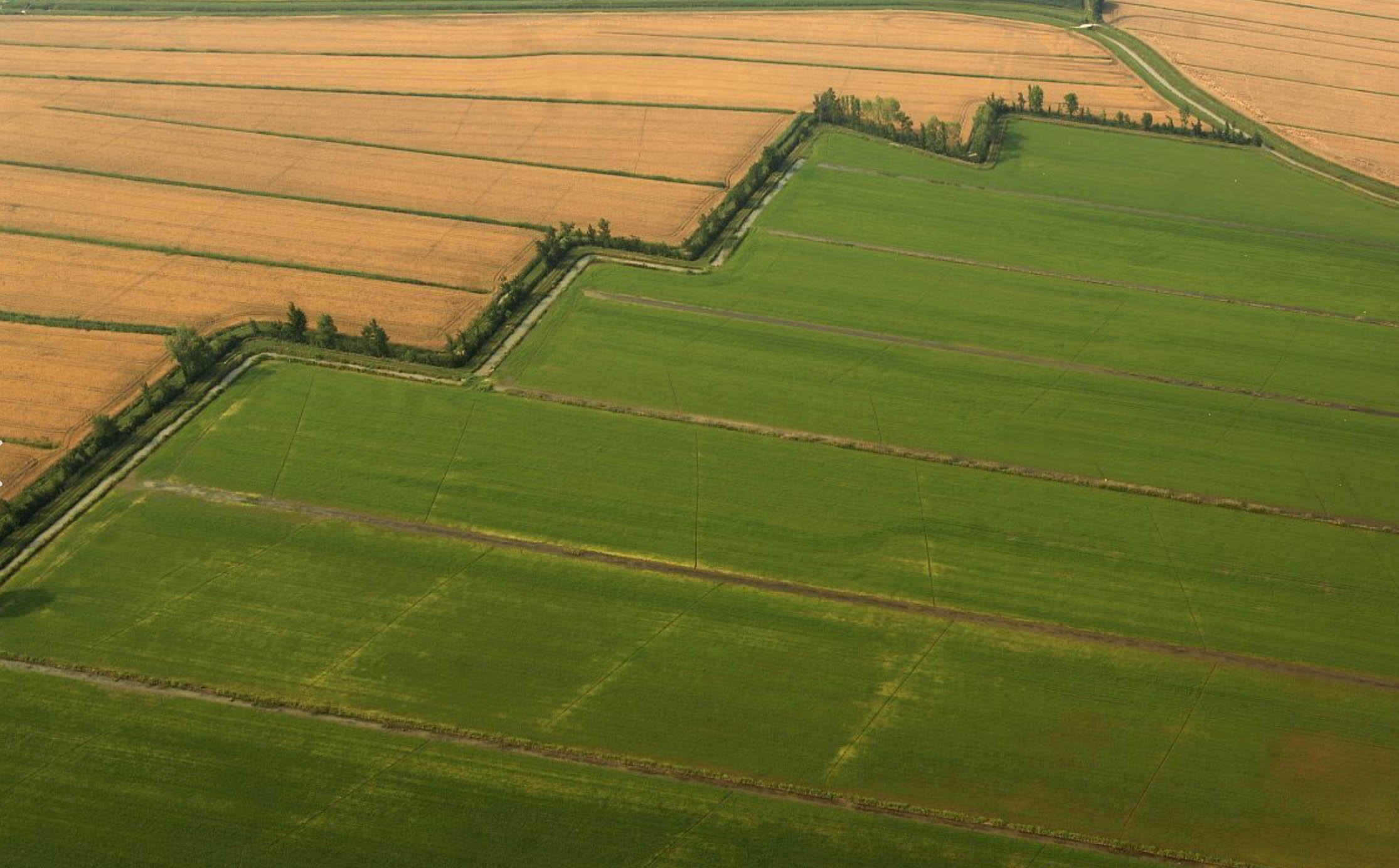At present, the irrigated area of cultivated land in China has exceeded 1.08 billion mu.jpg