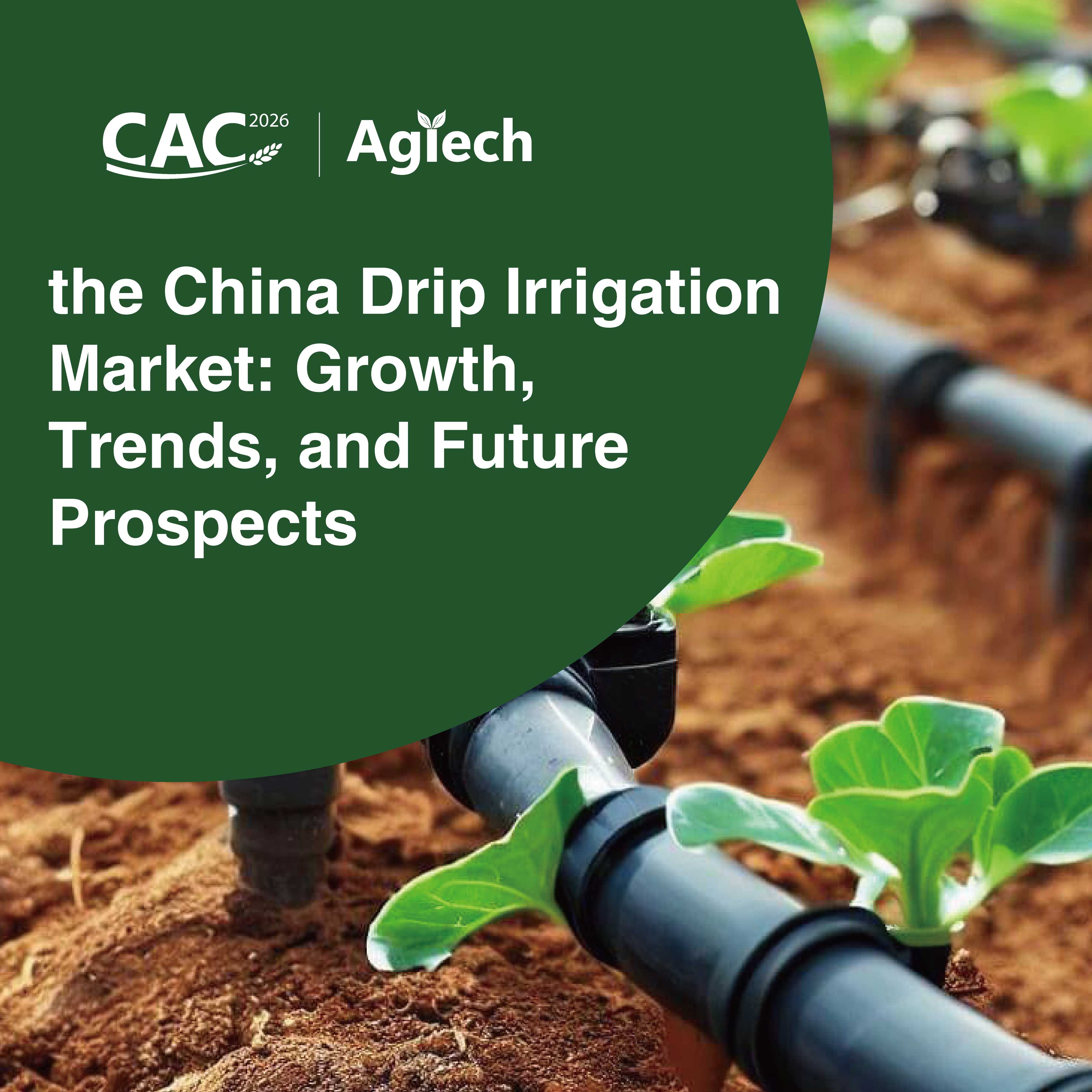 The-China-Drip-Irrigation-Market-Growth-Trends-and-Future-Prospects.jpg
