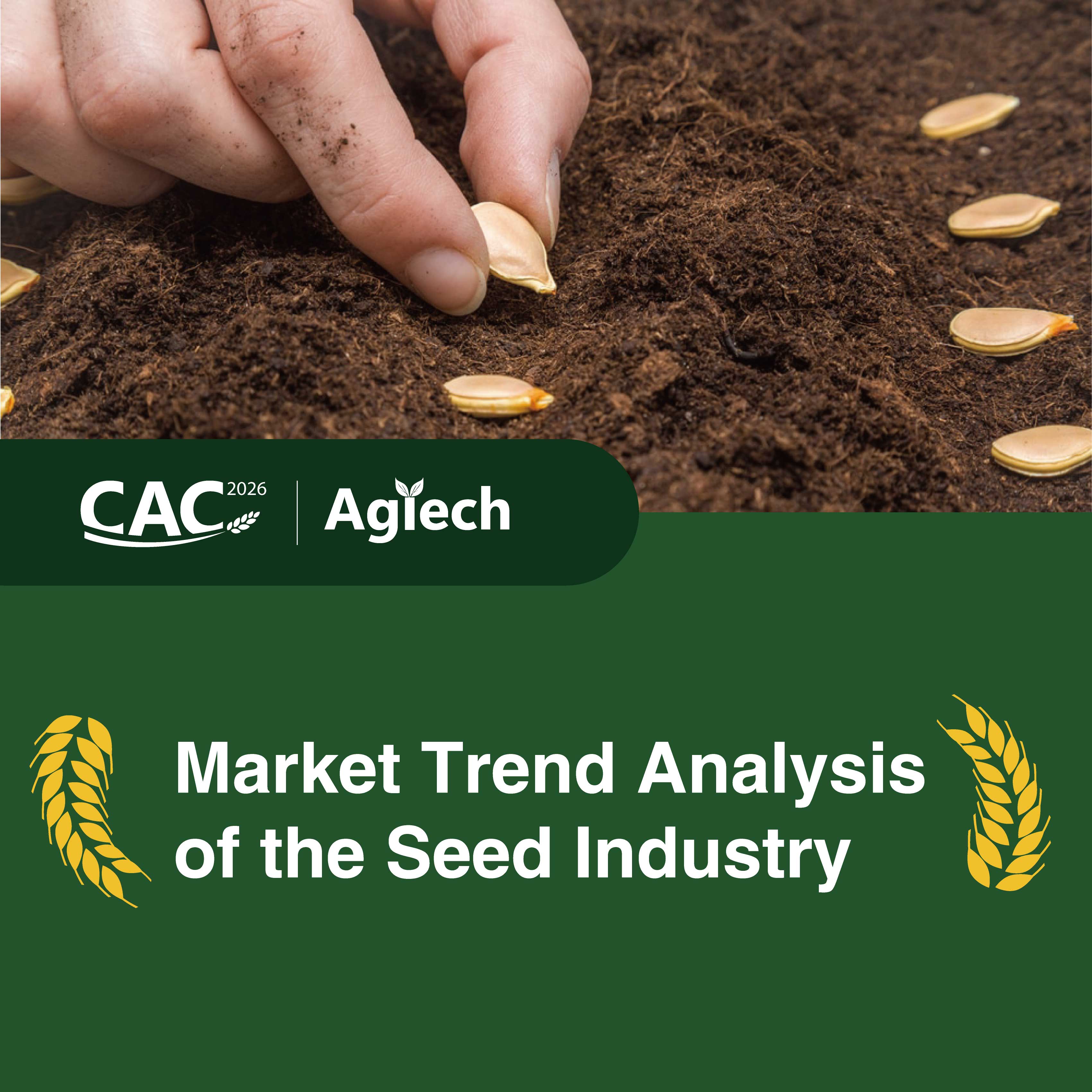 The-China-Drip-Irrigation-Market-Growth-Trends-and-Future-Prospects1.jpg