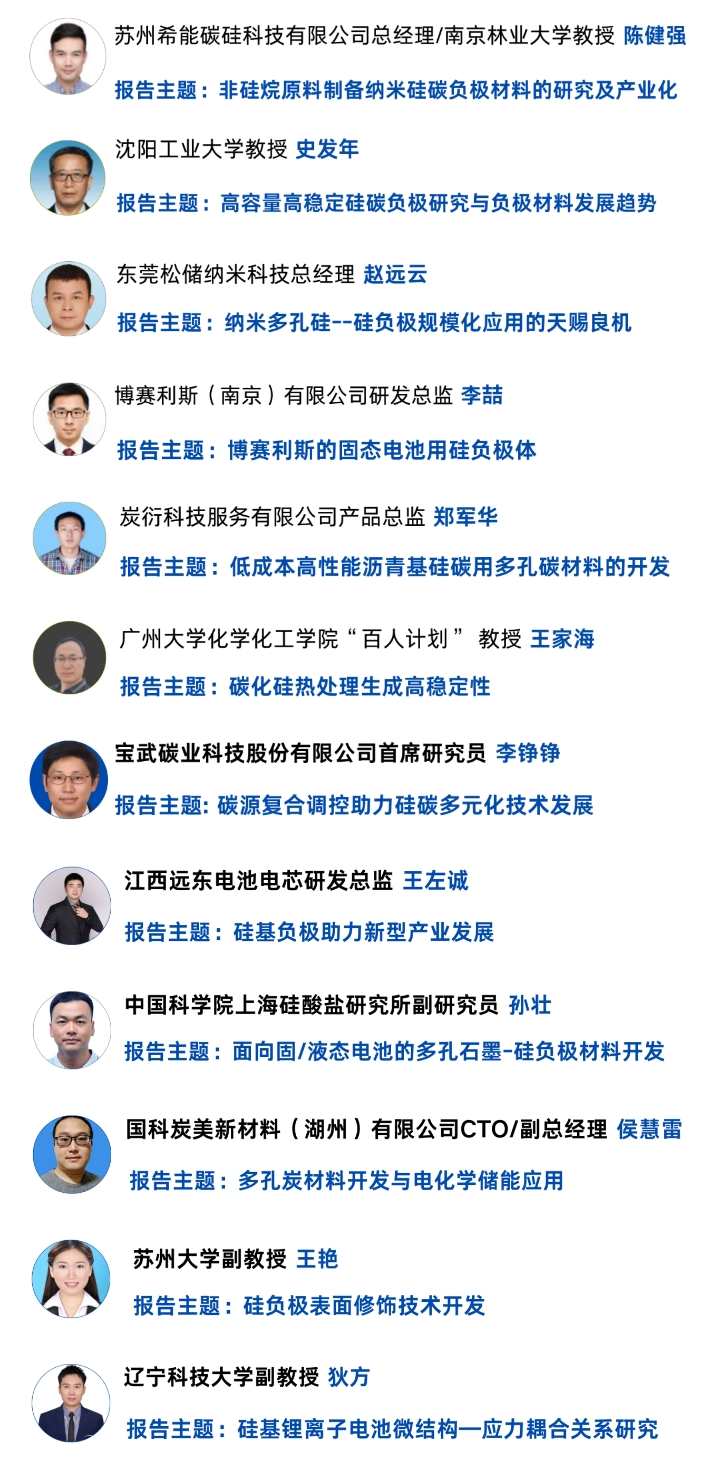 9.16硅碳负极专家.png