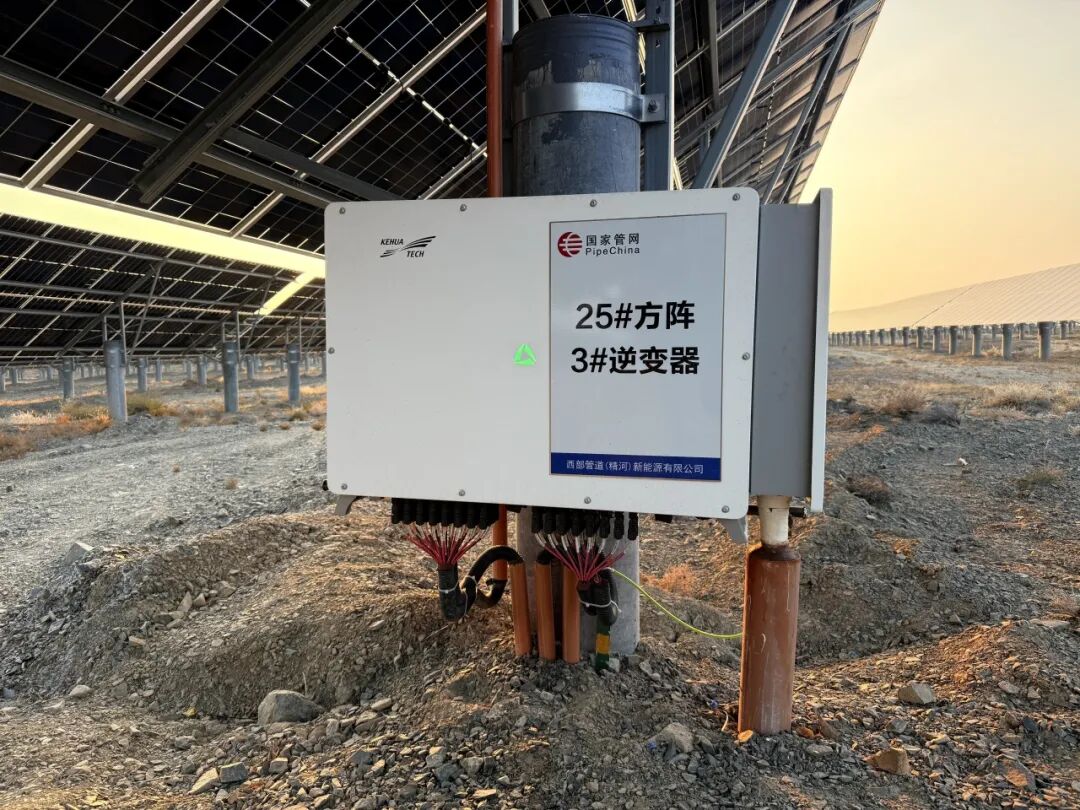 ueditor_img/1762334555.jpeg 2.jpeg