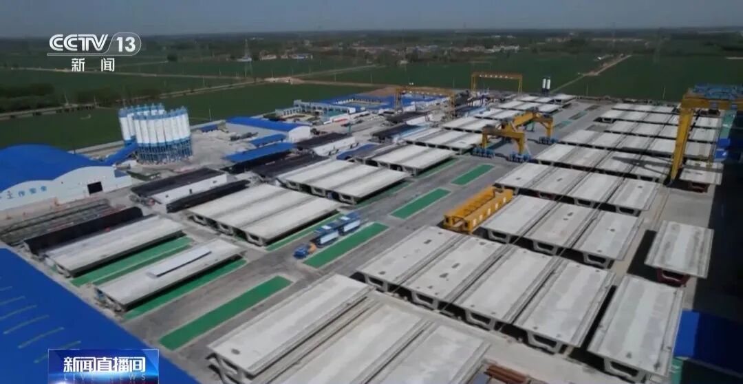 ueditor_img/1764912835.jpg 3.jpg