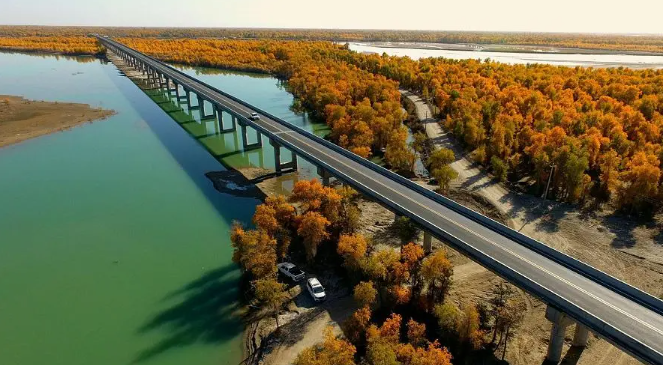 ueditor_img/1772259492.png image.png