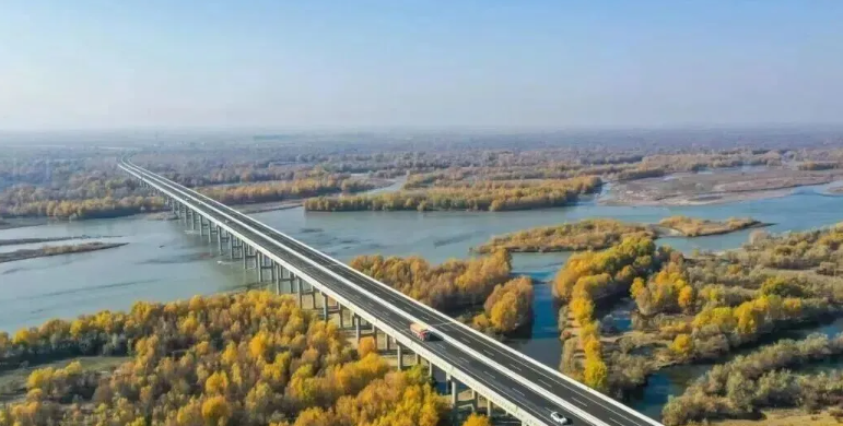 ueditor_img/1772259583.png image.png