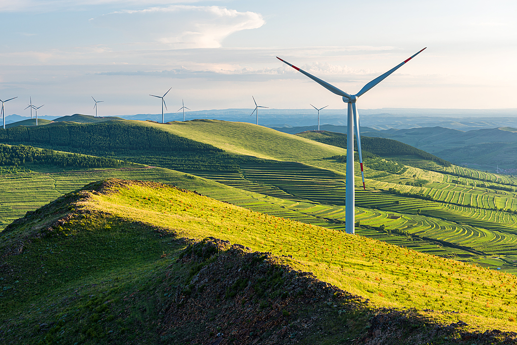 ueditor_img/1775110815.jpeg ueditor_img/1775110815.jpeg