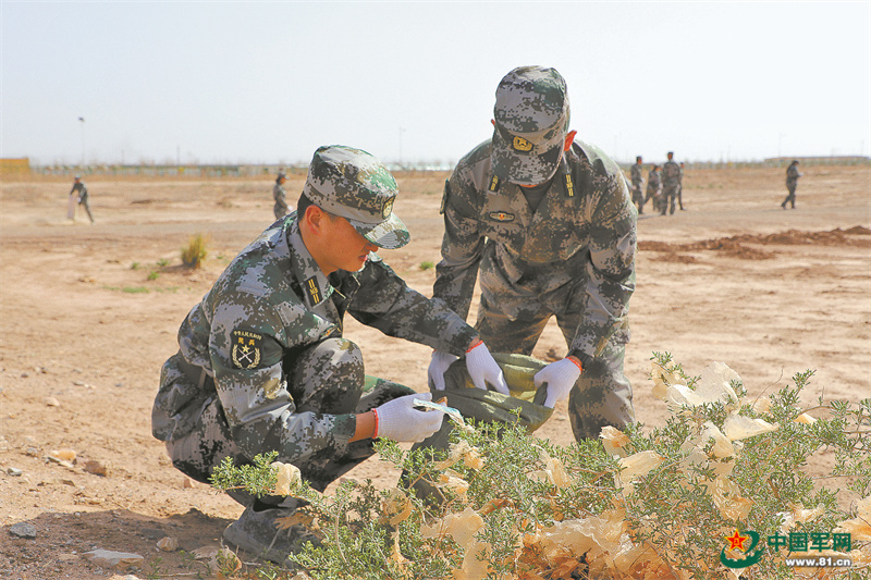 内蒙古军区组织部队官兵和民兵预备役人员参与生态建设-军工资源网